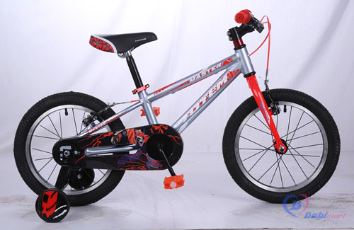 Xe đạp TOTEM 903-16