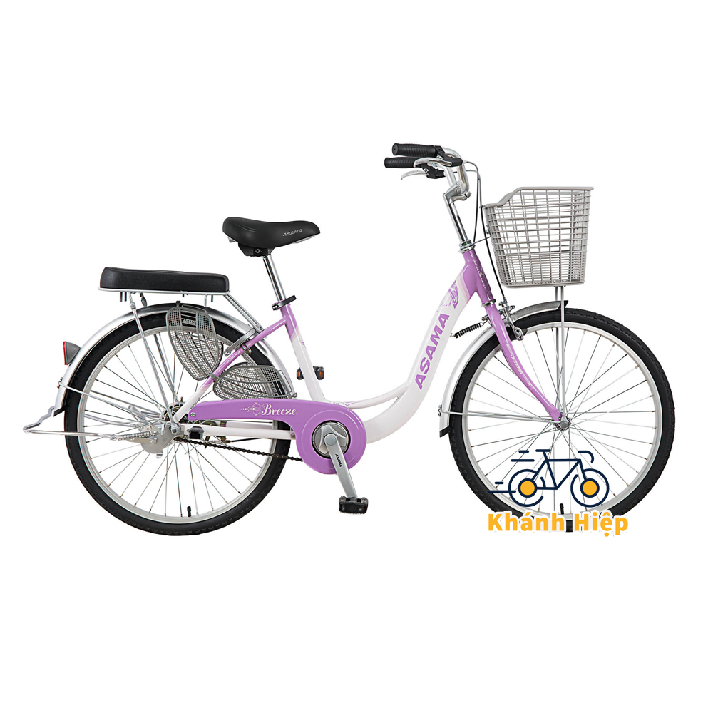 xe đạp dành cho học sinh nữ cấp 2