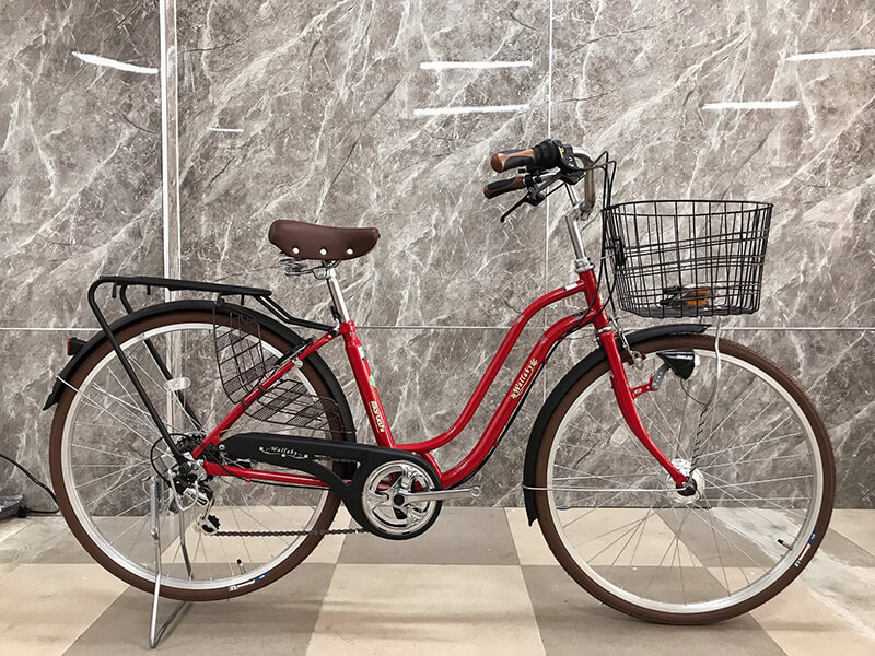 Xe đạp cho người trung niên