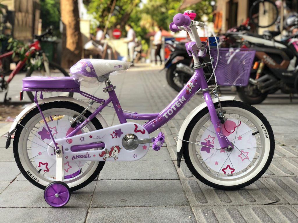 xe đạp cho bé gái 4 5 6 tuổi