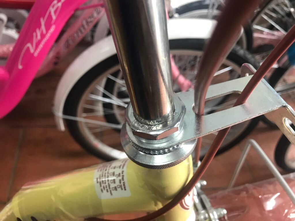 Xe đạp Việt Nam