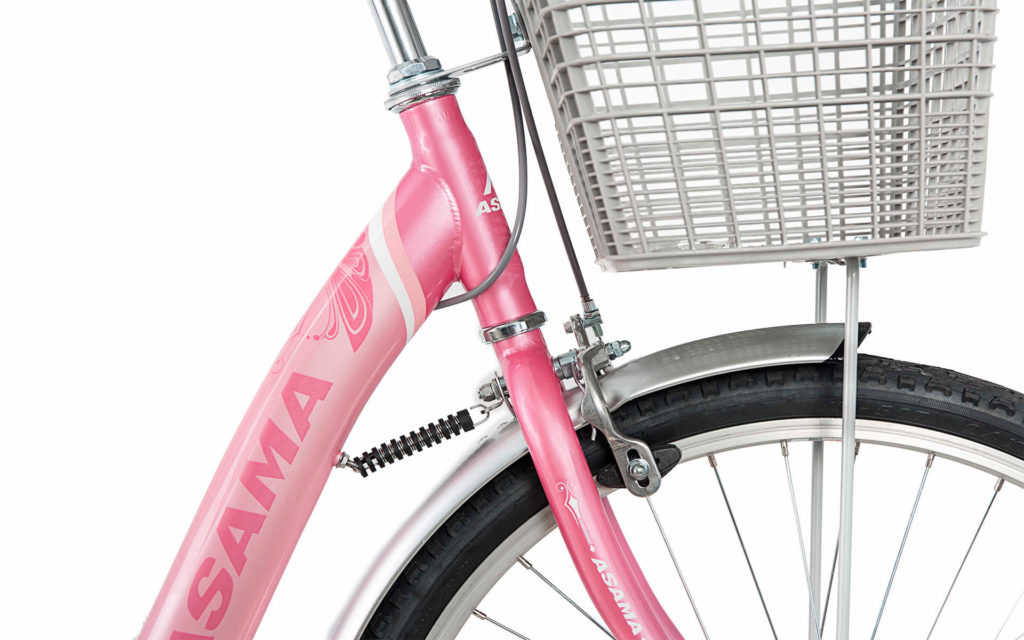 Xe đạp Asama BR2402