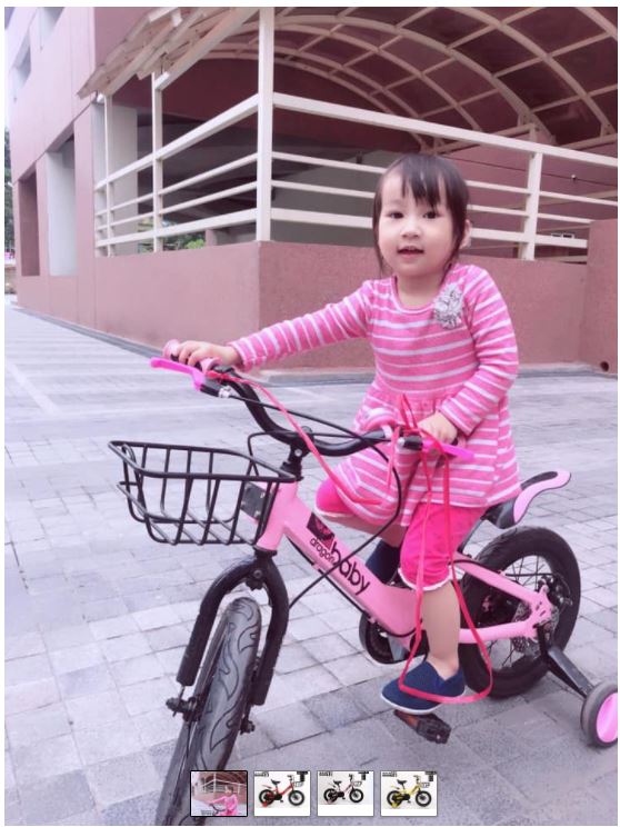 xe đạp cho bé gái 4 5 tuổi