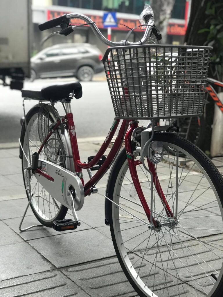 xe đạp mini nhật giá bao nhiêu