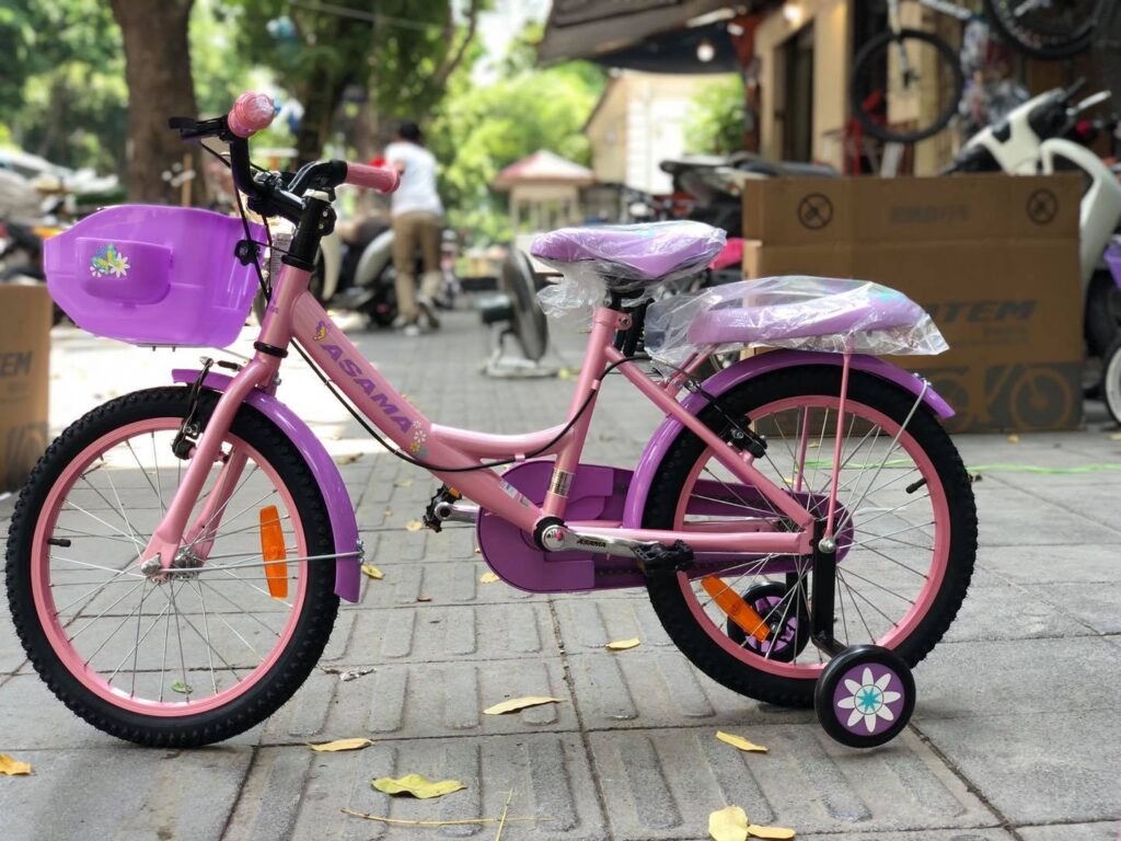 Tổng hợp các mẫu xe đạp asama trẻ em tốt nhất 2021