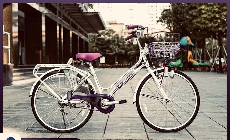 xe đạp mini người lớn