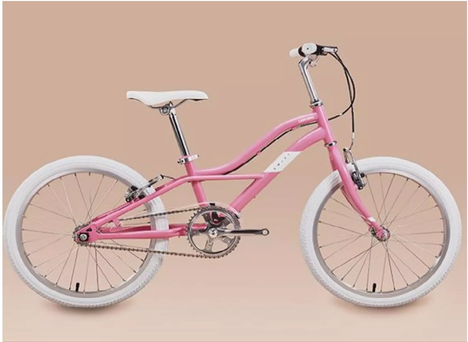 xe đạp màu hồng